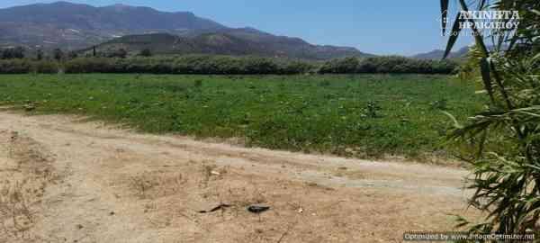 εικόνα_Viber_2025-07-10_14-19-48-055.jpg